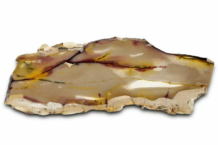 Vibrant Polished Mookaite Jasper Slice - Australia #328314